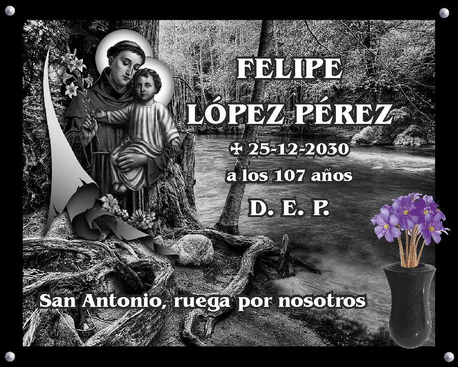 LAPIDAS LEON LA MAGDALENA