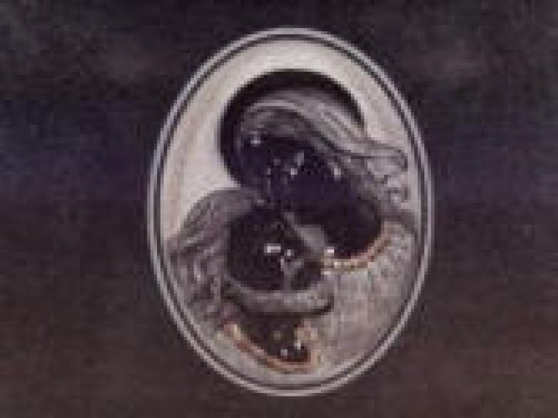 LAPIDAS LEON LA MAGDALENA